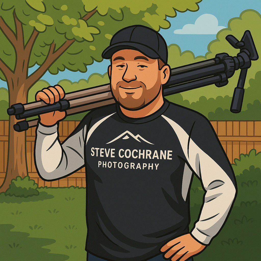 Bailey Bearson and the Prickly Picture